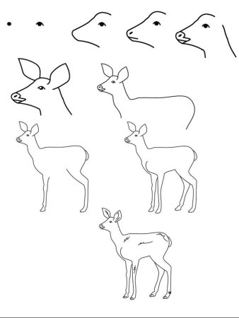 Поэтапное рисование оленя карандашом
