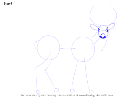 Поэтапное рисование оленя в подготовительной группе