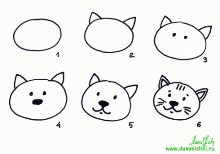 Как рисовать котов поэтапно