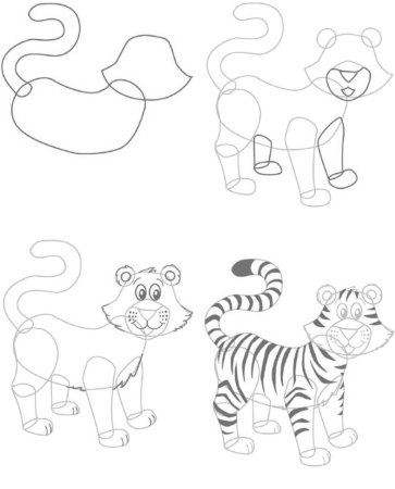 How to draw a Tiger steps