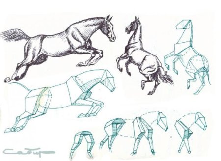 Этапы рисования лошади для детей