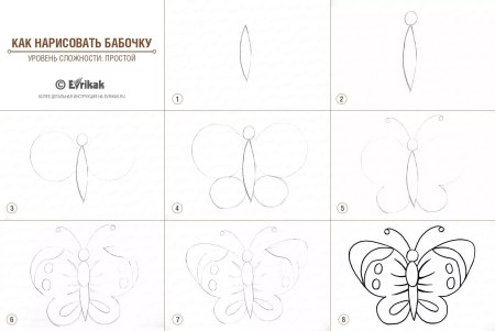 Этапы рисования бабочки