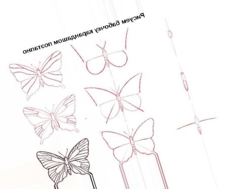 Как нарисовать бабочку карандашом поэтапно для детей