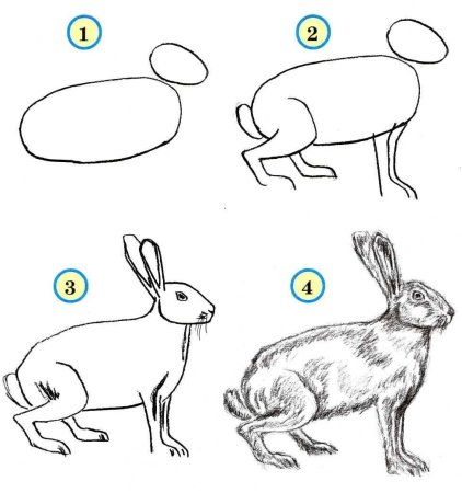 Схемы рисования животных для детей