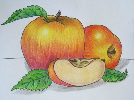 Рисование фруктов цветными карандашами