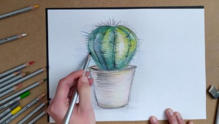 Рисование фруктов цветными карандашами