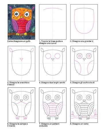 Сова сипуха анатомия