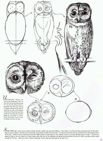Рисунки по этапно для начинающих