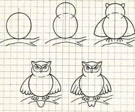 Поэтапное рисование Совы