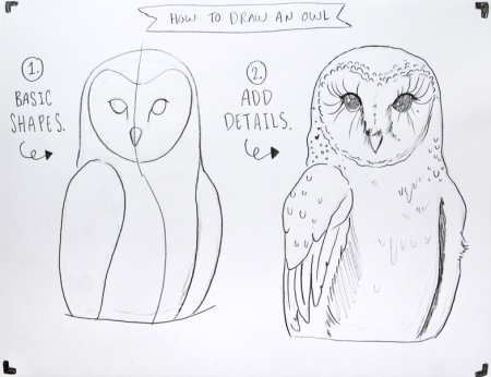 Туториал рисование Совы