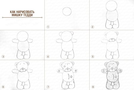 Пошаговый рисунок мишки
