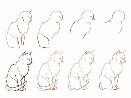 Схема рисования кота для детей