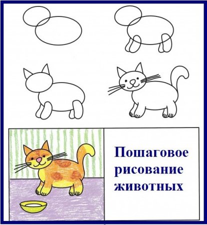 Схема рисования кошки для детей старшей группы