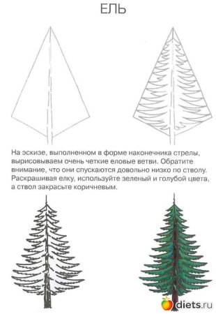 Как нарисовать ель ребенку
