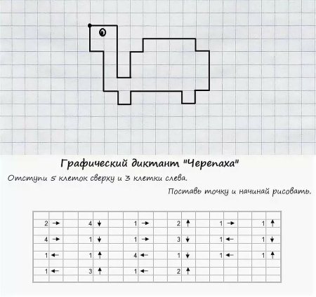 Диктант по клеточкам для дошкольников