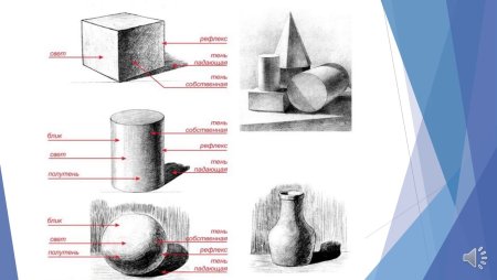 Правила светотени в рисунке
