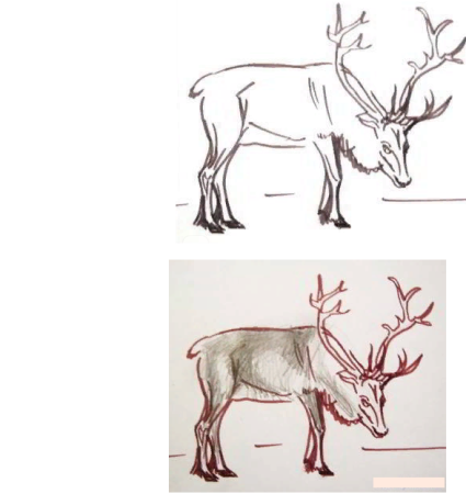 Поэтапный рисунок оленя