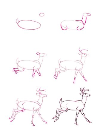 Олененок пошагово рисунок