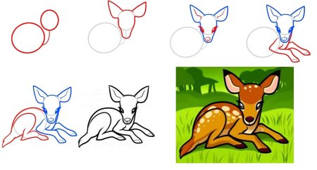 Пошаговое рисование оленя