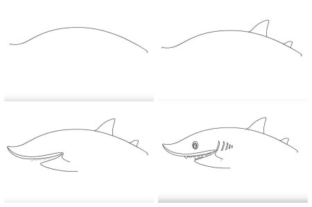 Акула пошаговое рисование