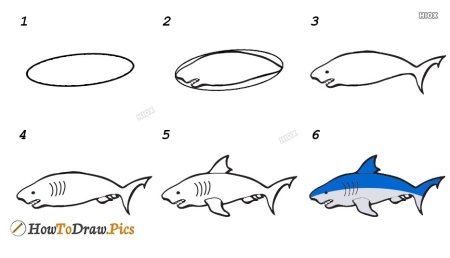 Нарисовать акулу по шагам