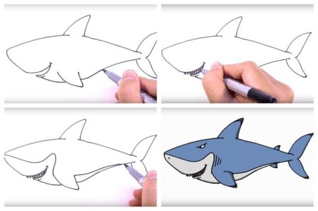 Акула рисунок