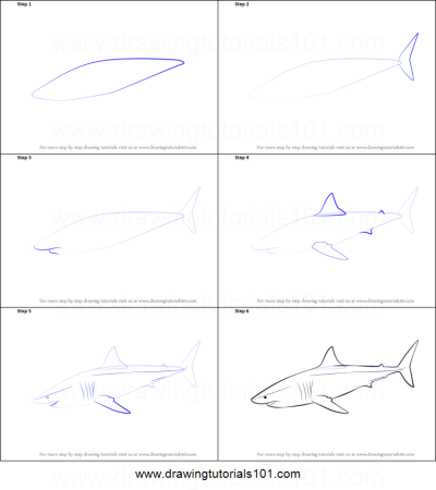 Акула пошаговое рисование для детей