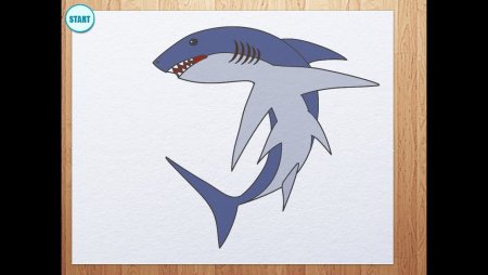 Акула фломастером