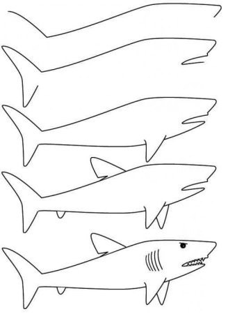 Акула рисунок