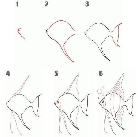 Рыбка рисунок карандашом