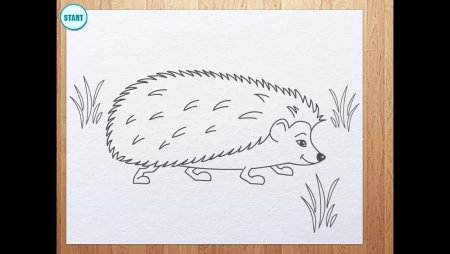 Рисование Ежик