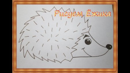 Схема рисования ежа для детей