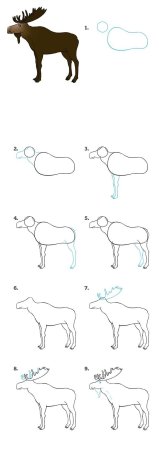 Поэтапное рисование лося