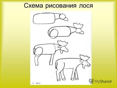 Поэтапное рисование лося для детей