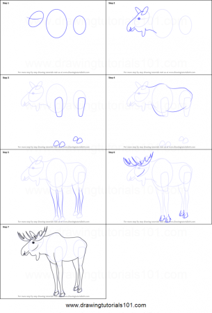 Поэтапное рисование лося