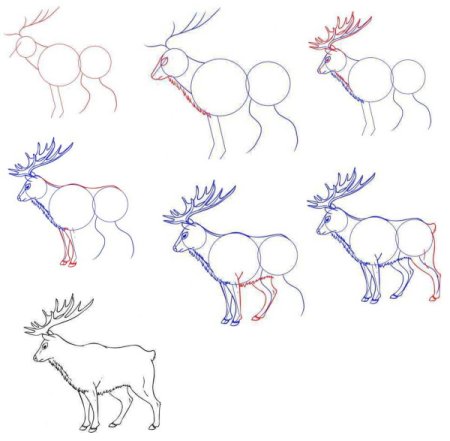 Лось рисунок поэтапно