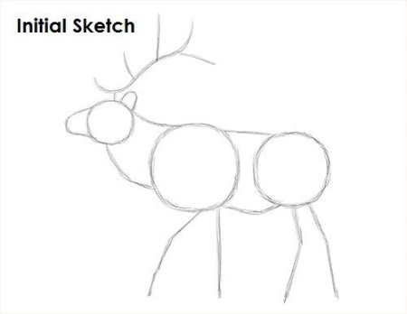 Рисование Лось в старшей группе