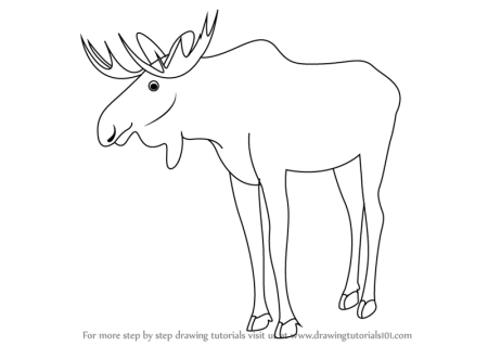 Раскраска Лось поэтапное рисование