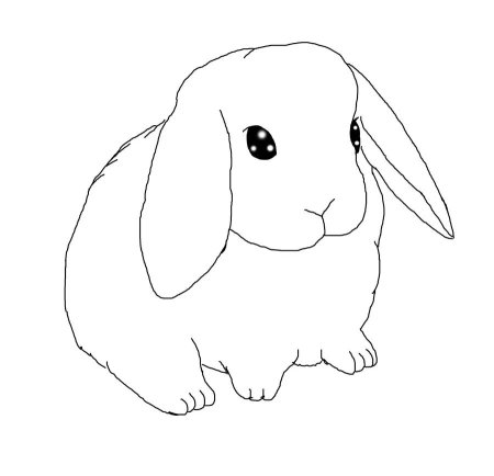 Кролик рисунок