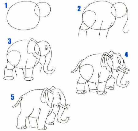 Как нарисовать голову лошади