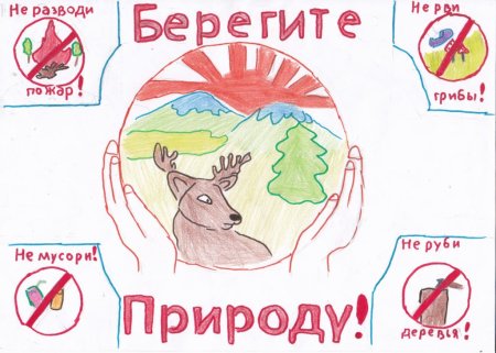 Плакат берегите животных
