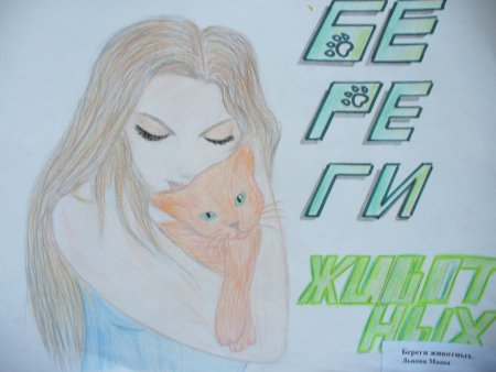 Плакат берегите животных 3 класс