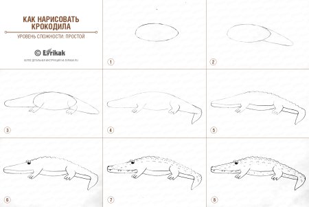 Крокодил пошагово рисунок для детей
