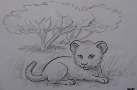 Животные для рисования