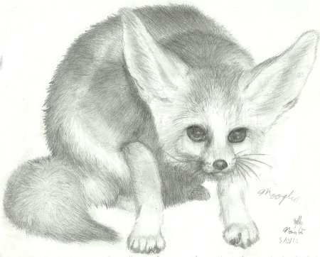 Котик карандашом
