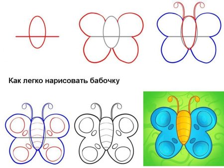 Как нарисовать бабочку поэтапно