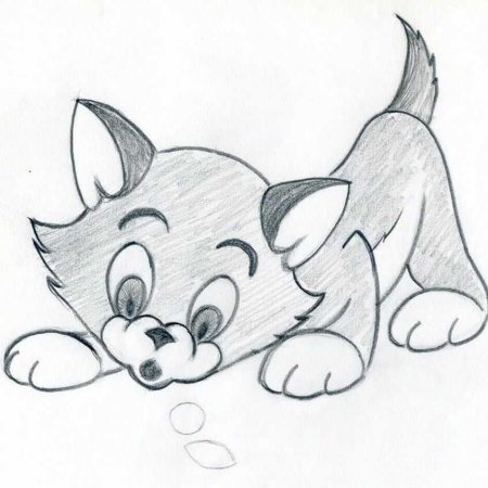 Как нарисовать хомяка поэтапно