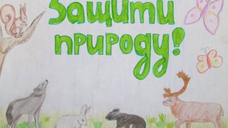 Рисунок берегите животных