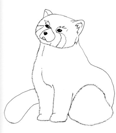 Снежный Барс для срисовки легко