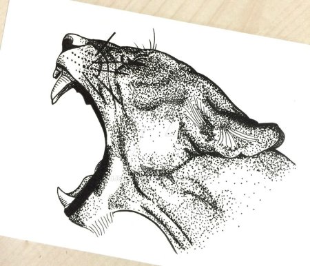 Точечная Графика